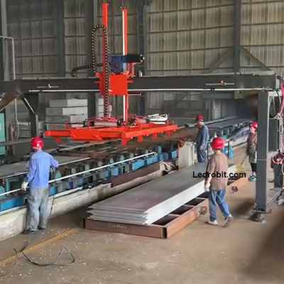 Línea de producción de botellas de piedra caliza de la máquina paletizadora de control independiente