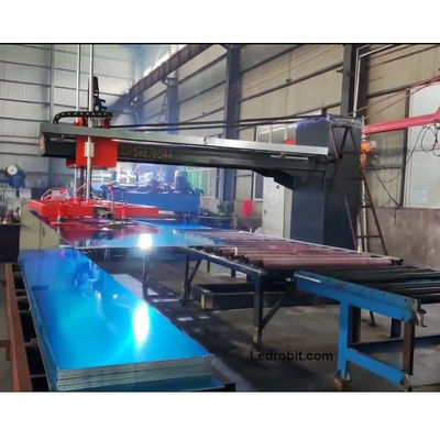Palletizador colaborativo controlado por servomotor Palletizador inteligente
